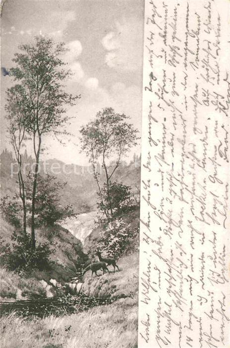 Annaberg-Buchholz Erzgebirge Wild am Bach