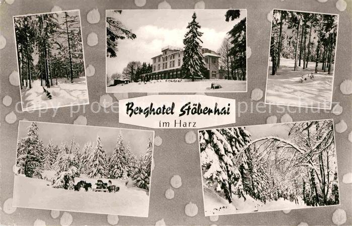 Walkenried Berghotel Stoeberhai