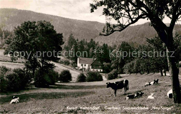 Waltersdorf Zittau Gasthaus Neue Sorge