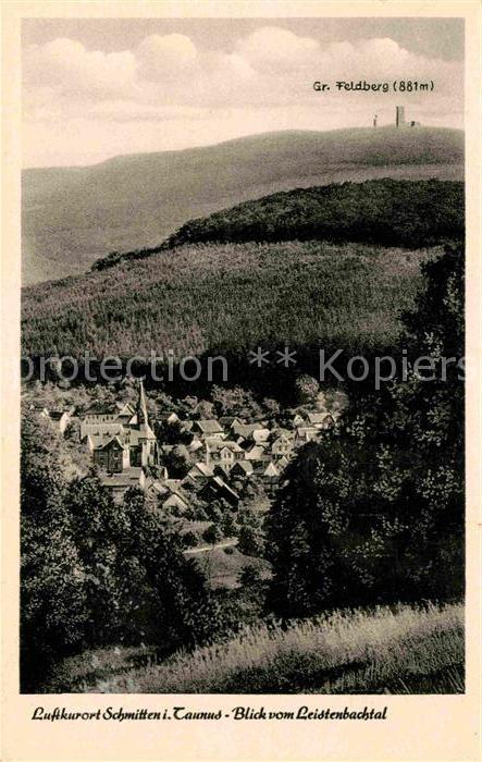 Schmitten Taunus Blick vom Leistenbachtal