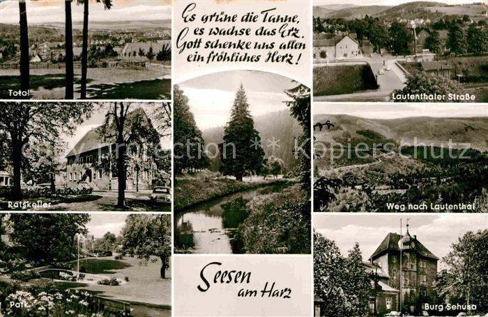 Seesen Harz Lauthenthaler Strasse Burg-Sehusa Park Ratskeller