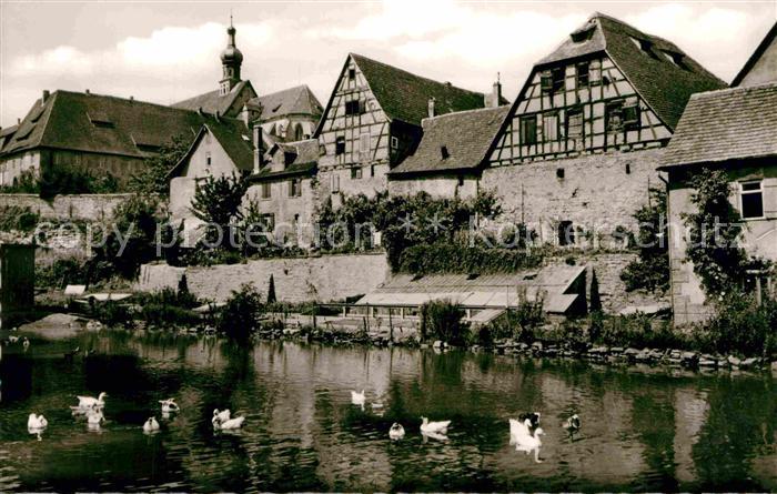 Bad Wimpfen Am Gaenseteich