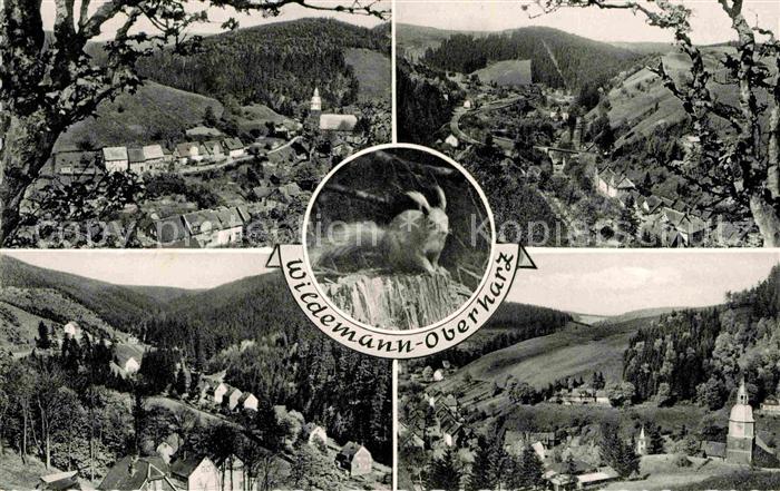 Wildemann Harz Goslar Niedersachsen Fliegeraufnahmen