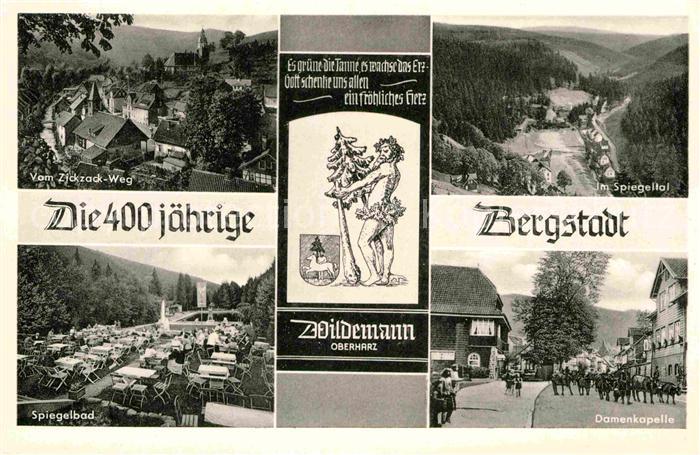 Wildemann Harz Goslar Niedersachsen Blick vom Zick-Zack-Weg Spiegeltal Damenkape