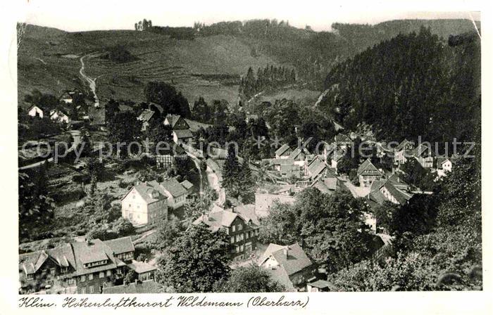 Wildemann Harz Goslar Niedersachsen