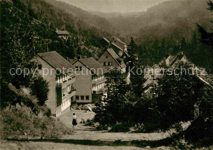 Wildemann Harz Goslar Niedersachsen Spiegeltal