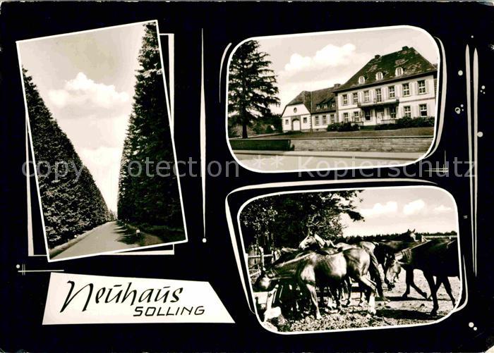 Neuhaus Solling Pferde Park