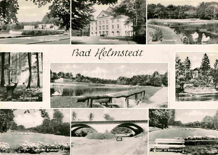 Bad Helmstedt Quellenhof Brunnentheater Brunnental Wild Schwaene