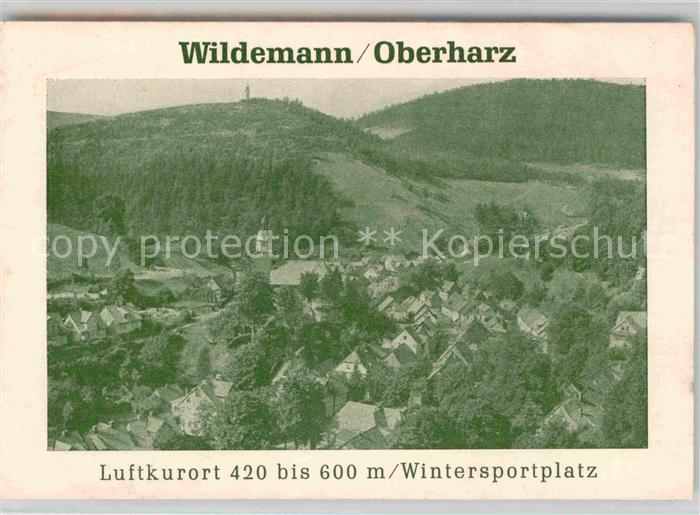 Wildemann Harz Goslar Niedersachsen Fliegeraufnahme