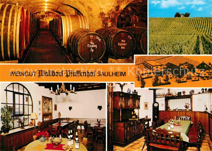 Saulheim Weingut Walldorf Pfaffenhofen Weinkeller Rebberg Gastraeume