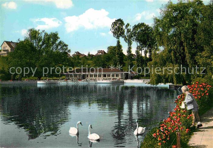Gandersheim Bad Solbad Osterbergsee mit Blick auf Seeterrasse Schwaene