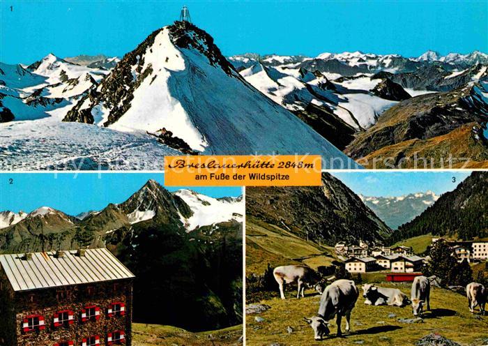 Breslauerhuette Wildspitze Vent Almvieh Kuehe Alpenpanorama