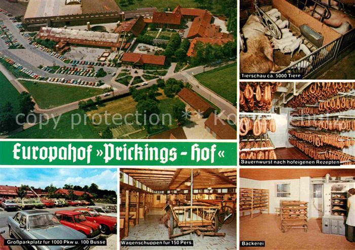 Sythen Europahof Prickingshof Fliegeraufnahme Innenansichten