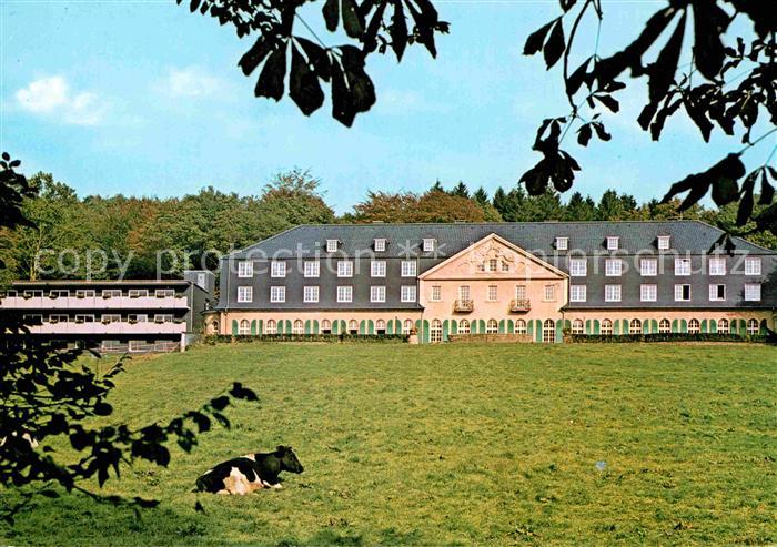 Dabringhausen Ferienstaette Bildungsstaette Haus Maria in der Aue Kuh