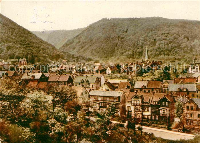 Thale Harz Panorama Blick vom Lindenberg