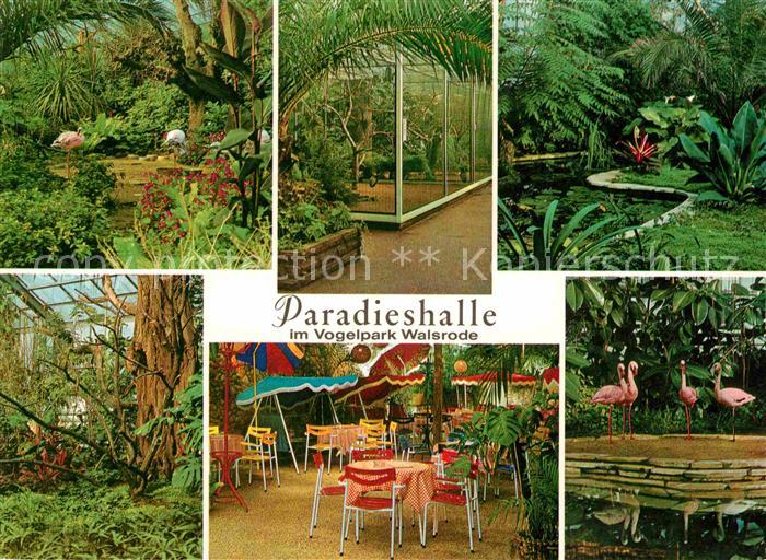 Walsrode Lueneburger Heide Paradieshalle im Vogelpark