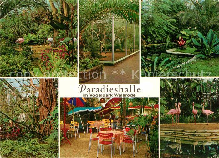 Walsrode Lueneburger Heide Paradieshalle im Vogelpark