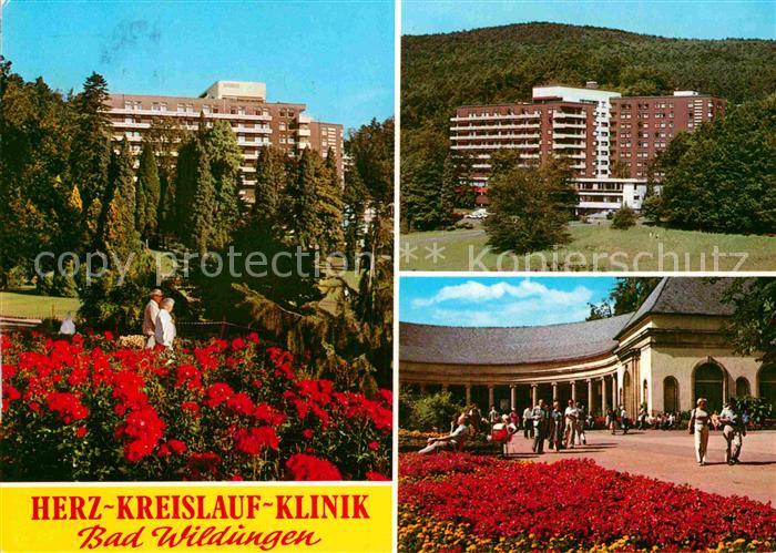 Bad Wildungen Herz Kreislaf Klinik Park