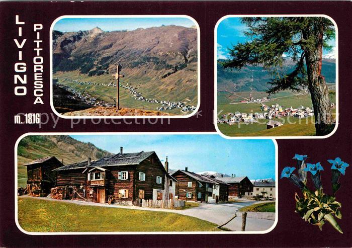 Livigno Teilansichten Gipfelkreuz Alpenpanorama Blauer Enzian