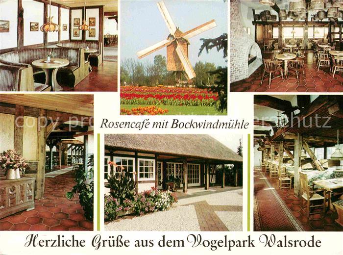 Walsrode Lueneburger Heide Rosencafe mit Bockwindmuehle im Vogelpark