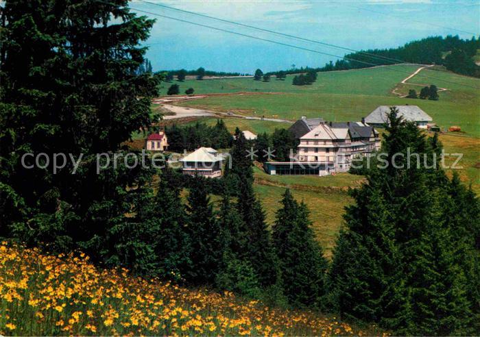 Schauinsland Halden Hotel Schwarzwald