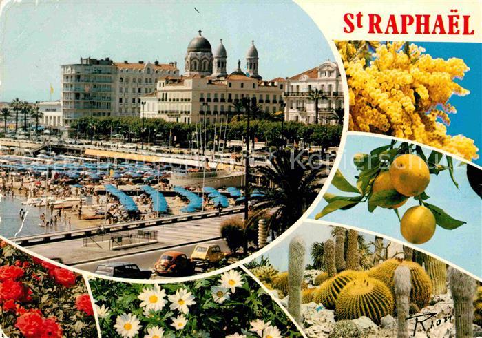 Saint-Raphael Var Hafenpartie Flora