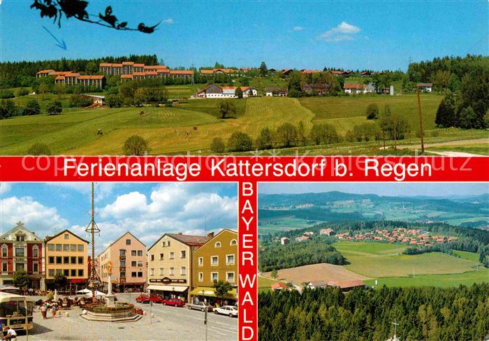 Regen Ferienanlage Kattersdorf Teilansicht Fliegeraufnahme