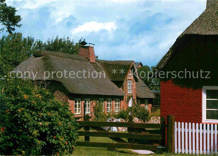 Amrum Alte Friesenhaeuser