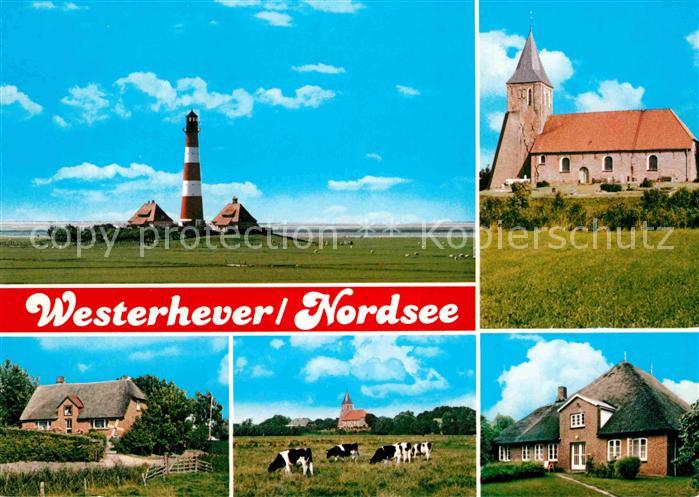 Westerhever Leuchtturm Kirche Friesenhaeuser Weiderinder