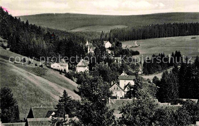 Altenau Harz Blick ins Villenviertel mit Wolfswarte