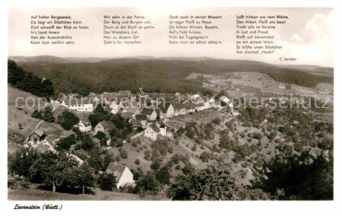 Loewenstein Panorama Gedicht C. Spindler