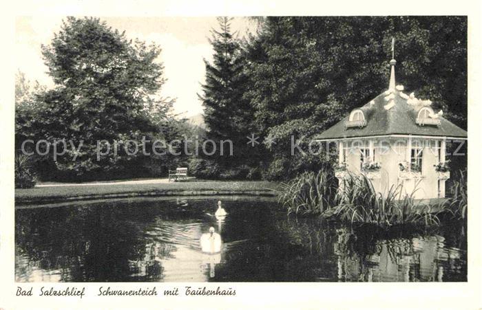 Bad Salzschlirf Schwanenteich mit Taubenhaus