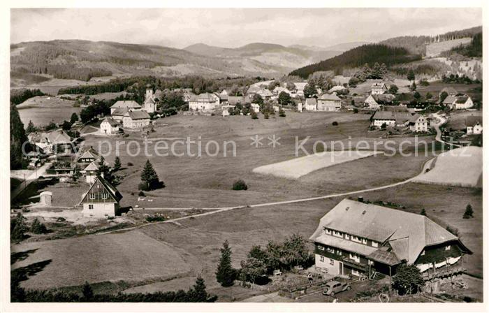 Schluchsee Panorama Schwarzwald