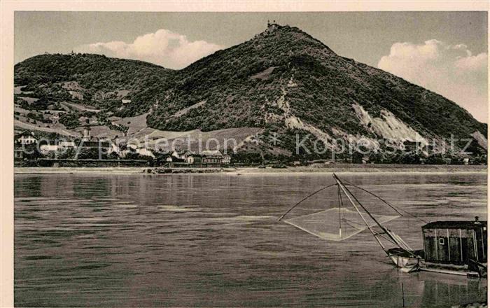 Wien Donau mit Kahlenberg und Leopoldsberg