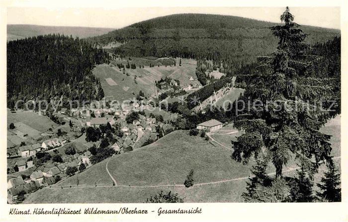 Wildemann Harz Goslar Niedersachsen Panorama Klimatischer Hoehenluftkurort