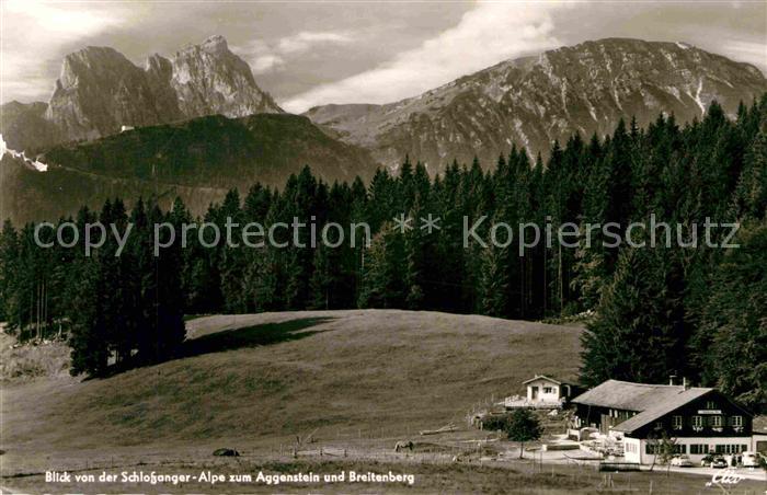 Pfronten Ostallgaeu Bayern Blick von der Schlossanger Alpe zum Aggenstein und Br