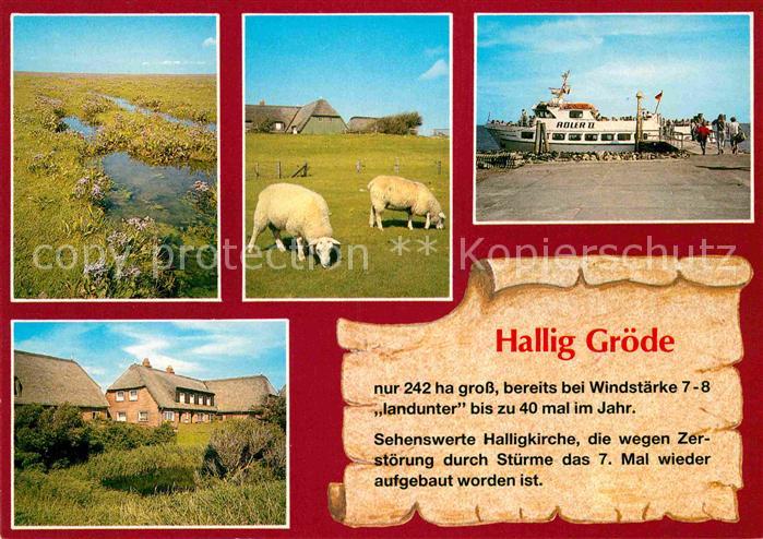 Hallig Groede Landschaftspanorama Schafe Bootsanleger Faehre