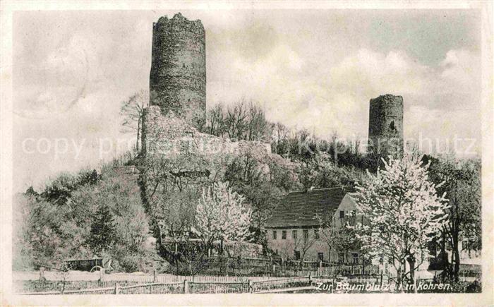 Kohren-Sahlis Baumblutzen