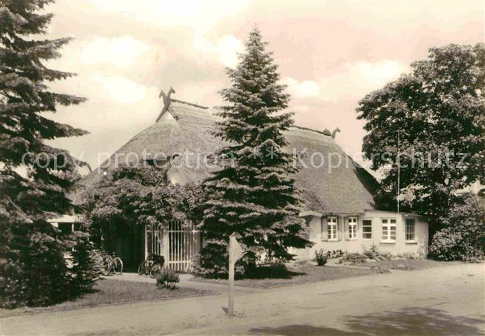 Graal-Mueritz Ostseebad Gaertnerei