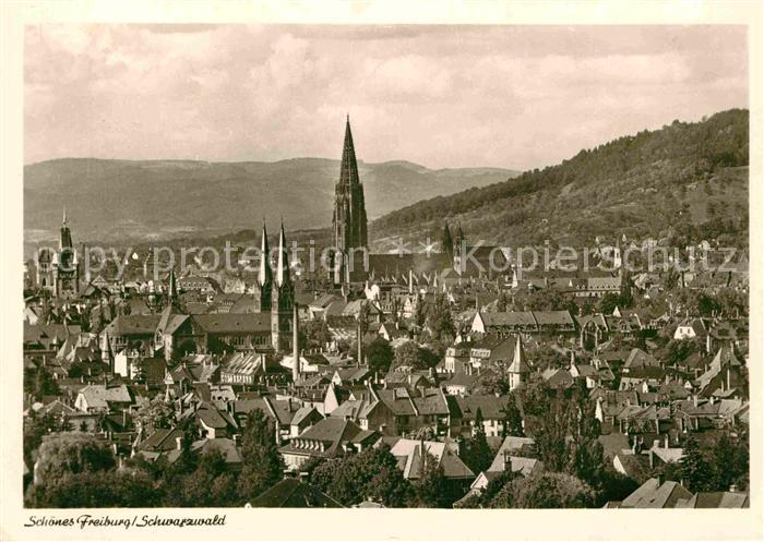 Freiburg Breisgau Panorama mit Muenster
