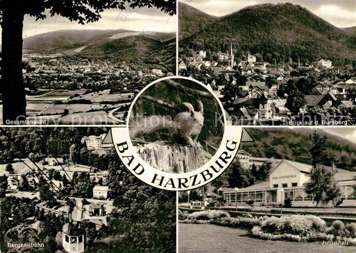 Bad Harzburg Burgberg Gesamtansicht Bergseilbahn Juliushall
