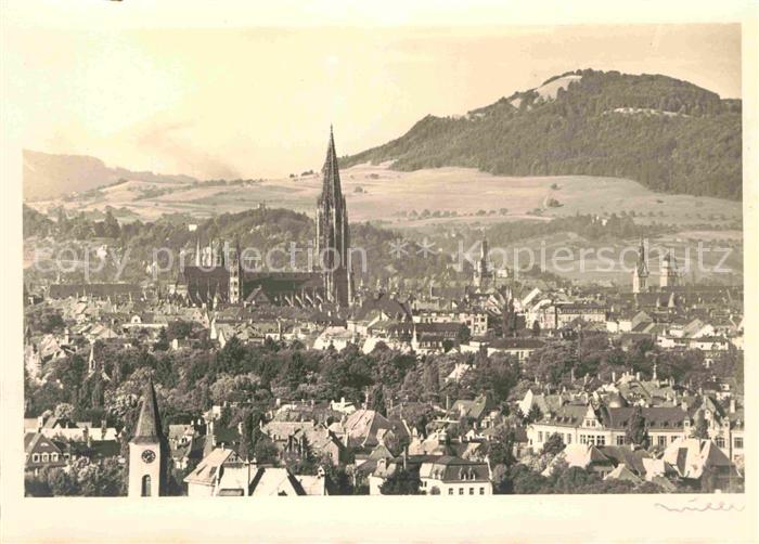 Freiburg Breisgau Panorama mit Muenster