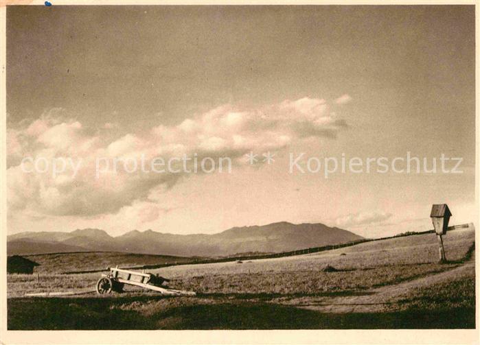 MAGDEBURG  CITY Hochland