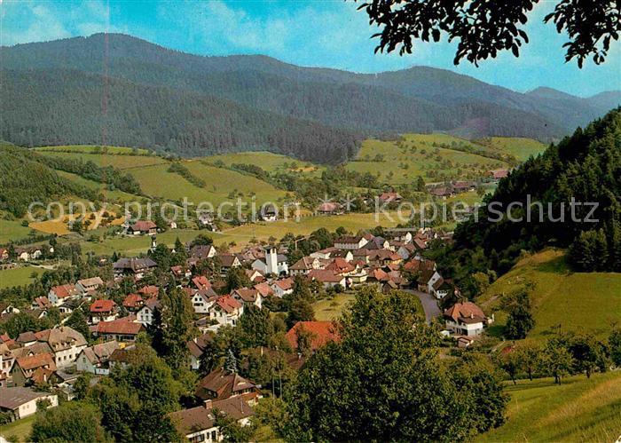 Gutach Schwarzwald Panorama Gutachtal
