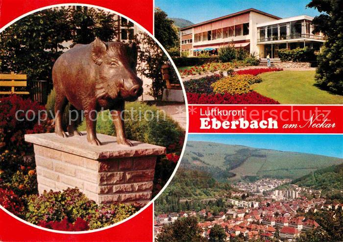 Eberbach Neckar Panorama Luftkurort Kurhaus Eber Skulptur