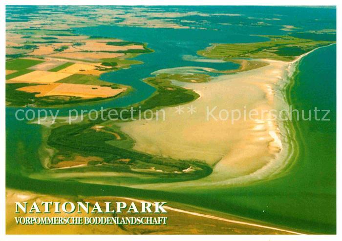 Gross Mohrdorf Insel Bock Nationalpark Vorpommersche Boddenlandschaft Fliegerauf