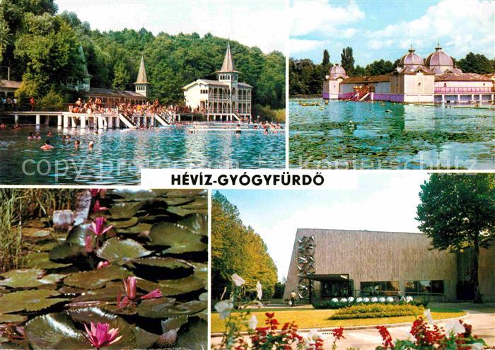 Hevizgyogyfuerdoe Heviz Heilbad Teichrosen