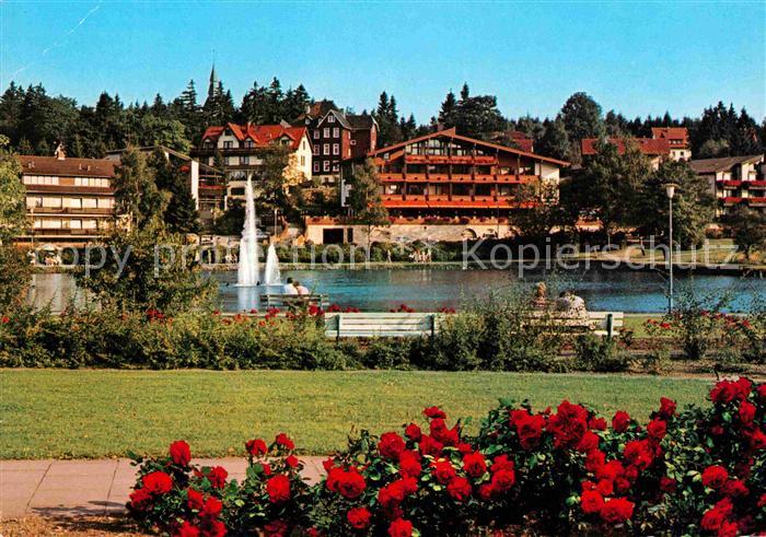Hahnenklee-Bockswiese Harz Kurpark mit Blick auf Kurparksee und Seerose