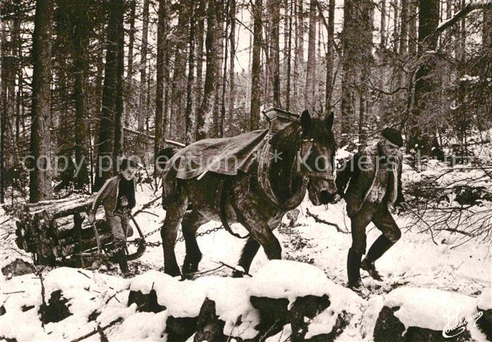 Landwirtschaft Holzschlitten Pferd Vogesen