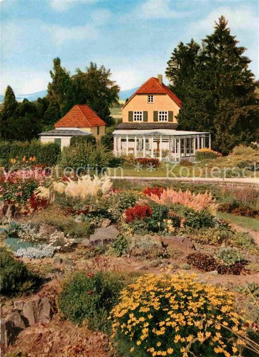 Elfenborn Rinteln Restaurant Cafe